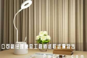 公司副经理兼总工程师述职述廉报告