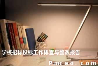 学校招标投标工作排查与整改报告