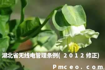 湖北省无线电管理条例(2012修正)